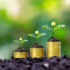 Green Bonds: What They Are, Types