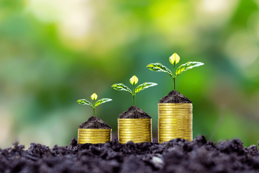 Green Bonds: What They Are, Types